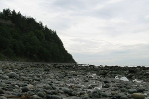 the beach at Point Wilson